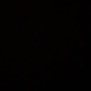 Meet your Posher, Ray